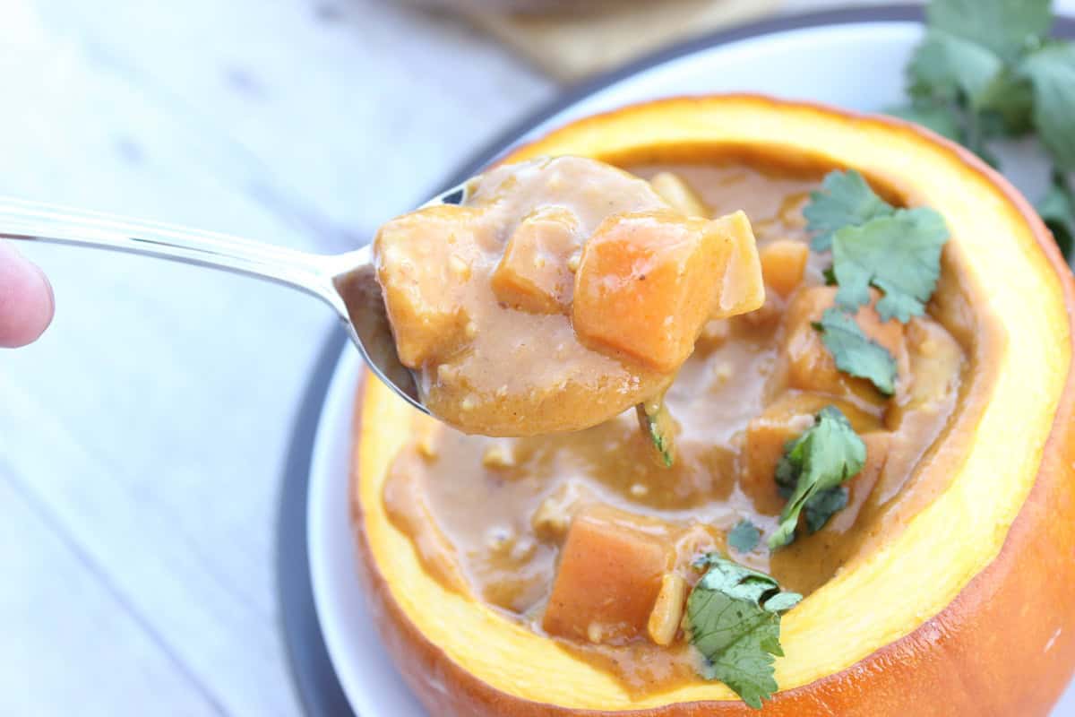 Peanut Butter, Chicken and Pumpkin Stew A look at a spoon holding a closeup bite of pumpkin chicken stew with sweet potatoes and chicken.