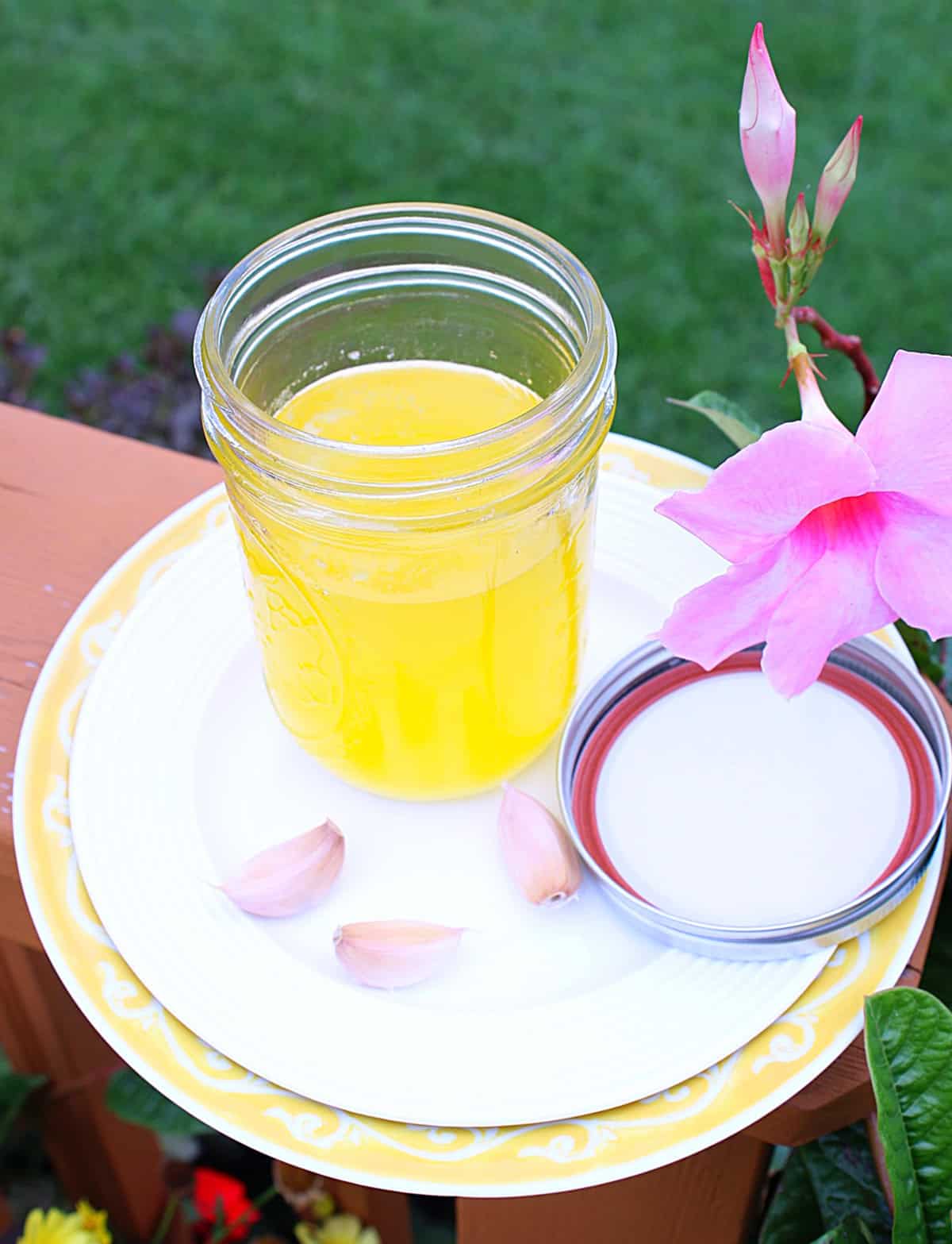 Some call it liquid gold, but I think Garlic Ghee is more like liquid sunshine. It makes me so happy and takes only minutes to make! Fill me up butter-cup! - Kudos Kitchen by Renee - kudoskitchenbyrenee.com A yellow and white plate sitting outside with a jar of homemade garlic ghee sitting on it.