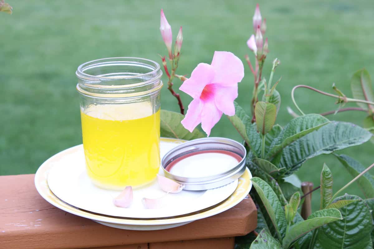 Homemade Garlic Ghee - kudoskitchenbyrenee.com A mason jar filled with garlic ghee on a plate outside.