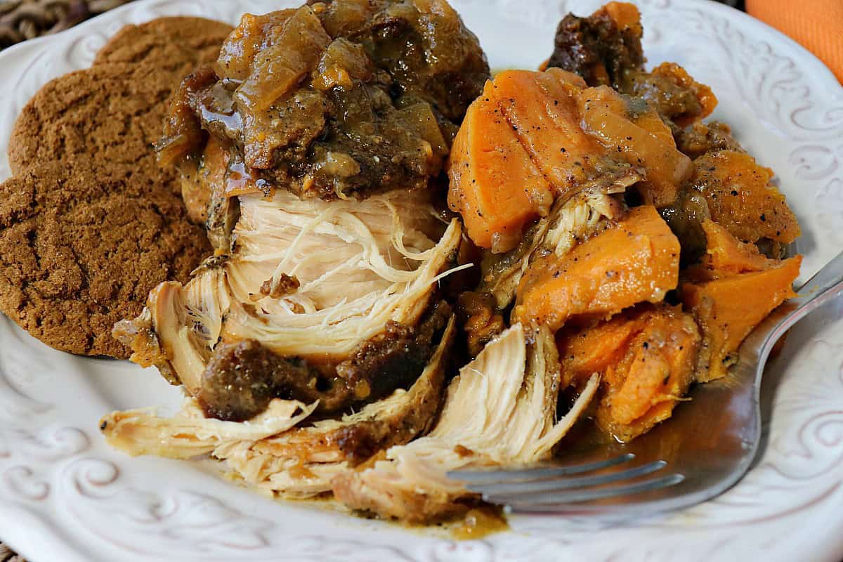 Worried that your chicken breasts are always dry and boring? No longer. These fork-tender Apple Cider Braised Chicken Breasts with Sweet Potatoes and Gingersnaps are anything but dry and boring! - kudoskitchenbyrenee.com A tender chicken breast that's been broken apart with a fork on a white plate.