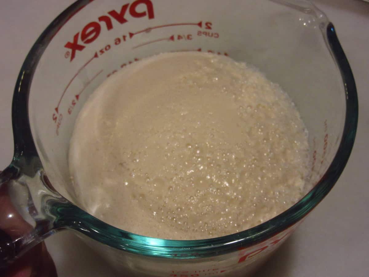 Foamy yeast in a glass measuring cup.