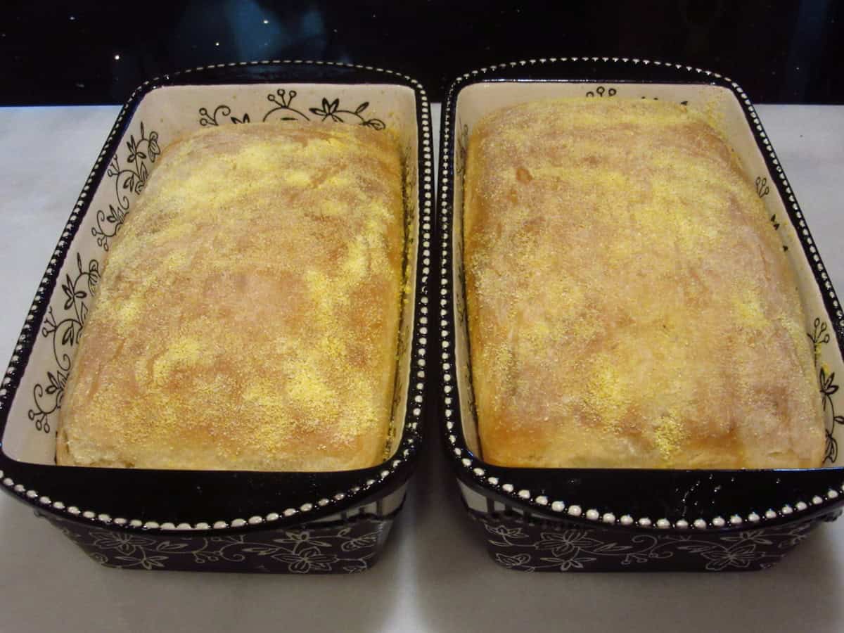 Two cornmeal dusted, baked English muffin bread loaves in ceramic pans on the counter.