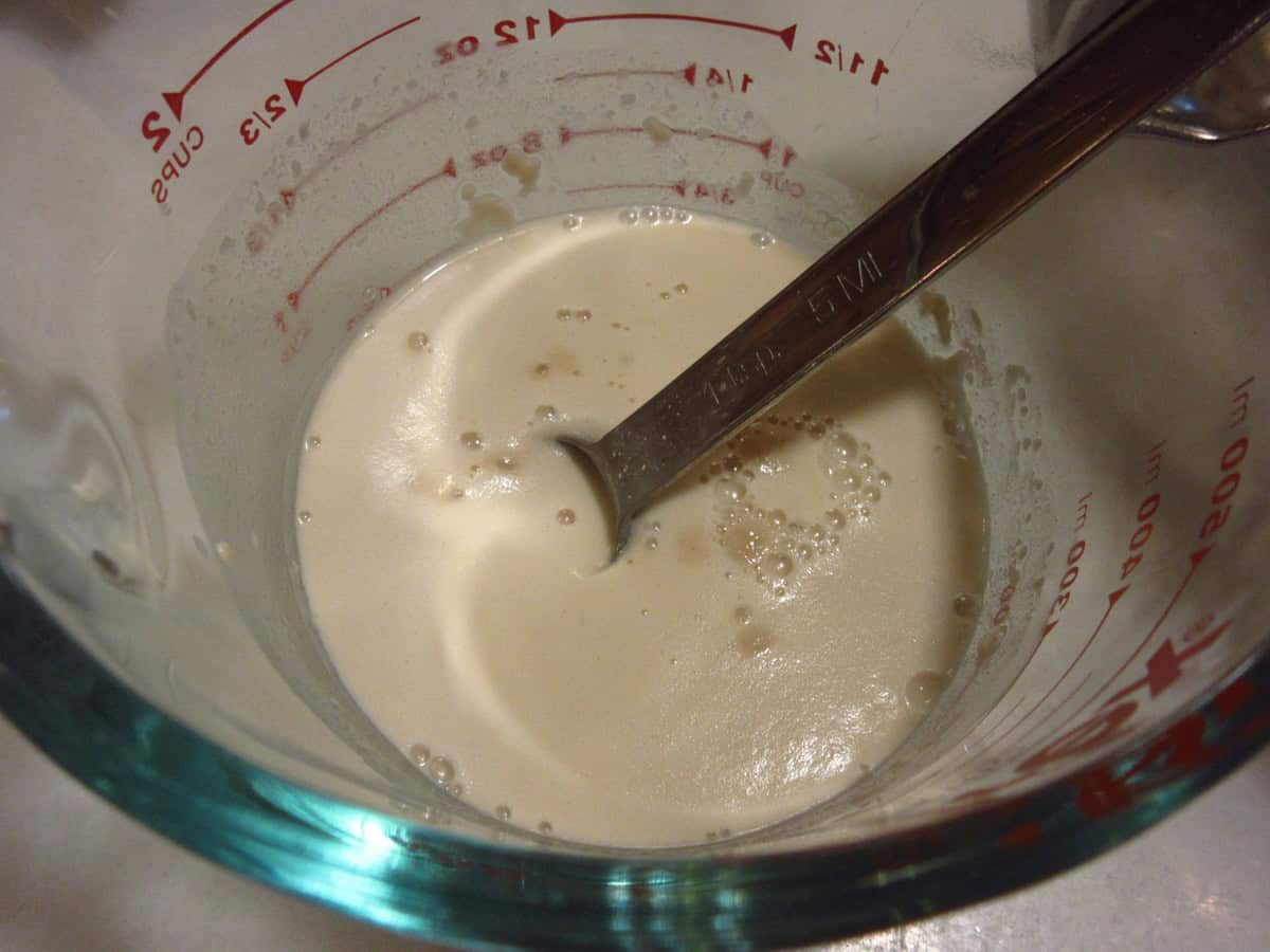 Foamy yeast and water mixture in a glass measuring cup.